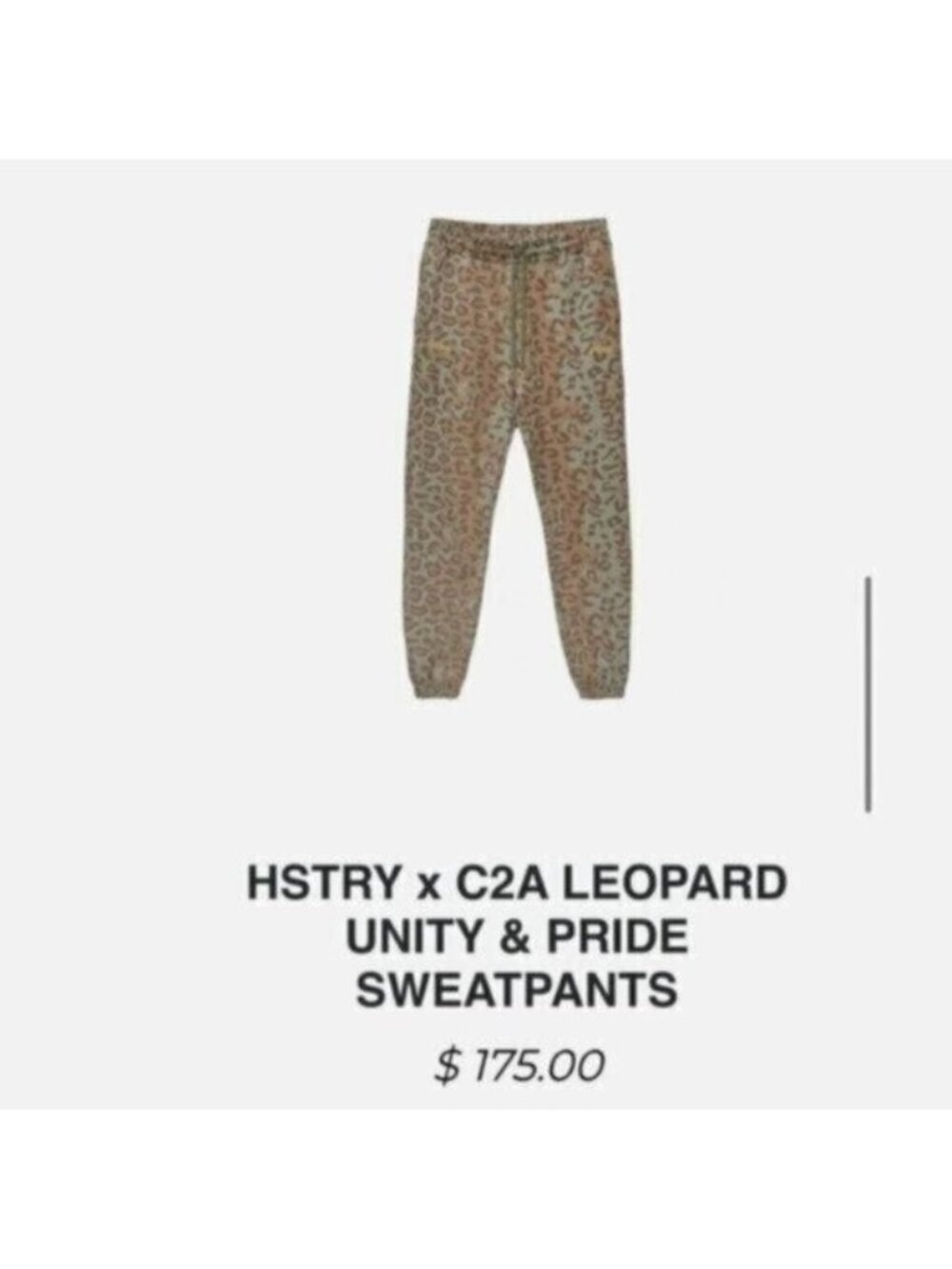 HSTRY x C2A Leopard Unity & Pride Sweatpants Joggers Athleisure Pants Sz Medium